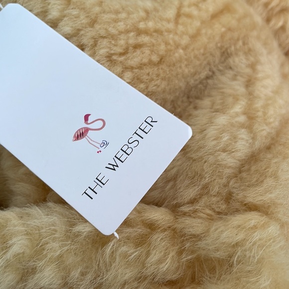 BOTTEGA VENETA Teddy Gold The Chain Tote - modeled this bag in video once - Picture 15 of 16